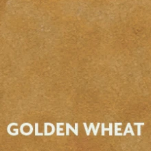 golden wheat